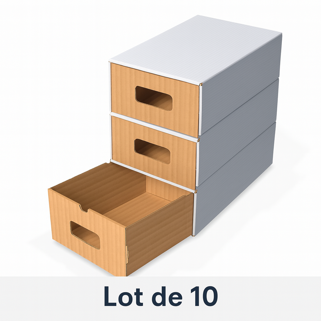 Lot de 10 boîtes déco rangement carton 32×22×14 cm - Chaussures & accessoires