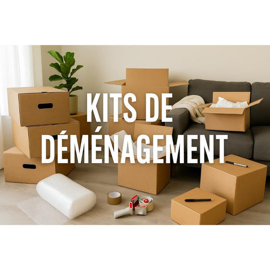 Kit demenagement economique
