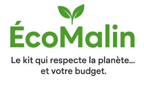Logo ÉcoMalin – Le kit qui respecte la planète et votre budget, gamme écoresponsable pour déménagement et rangement
